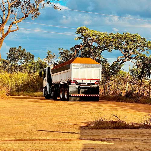 imagem intro nogueira foto 4